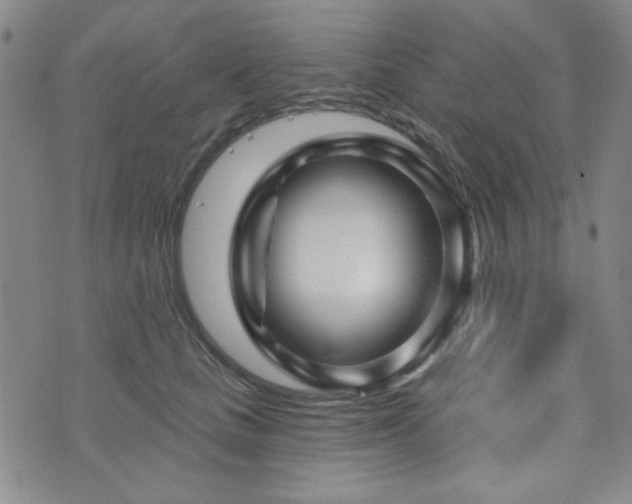 X0000073740661200608031405