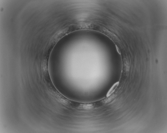 X0000073740665200608031405