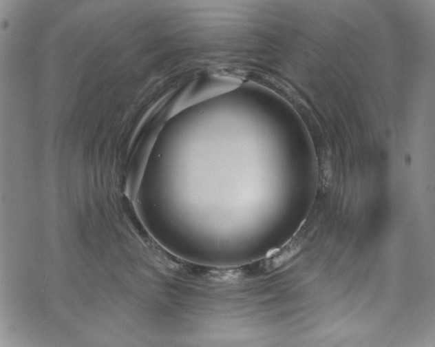 X0000073740667200608031405