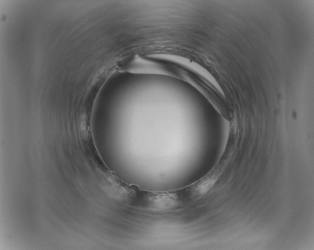 X0000073740670200608031405