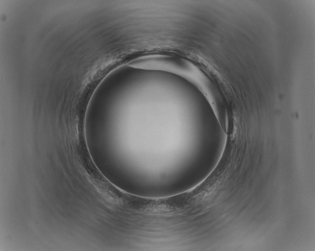 X0000073740685200608031404
