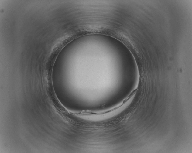 X0000073740688200608031404