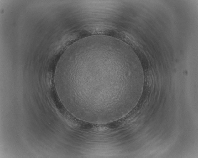 X0000073740695200608031404
