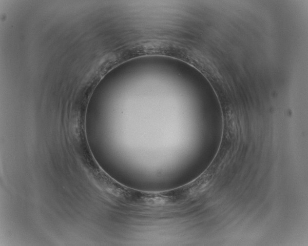 X0000073740698200608031404