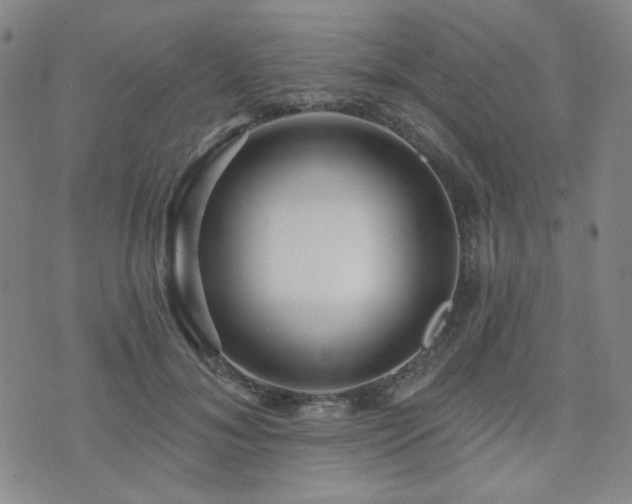 X0000073740700200608031404