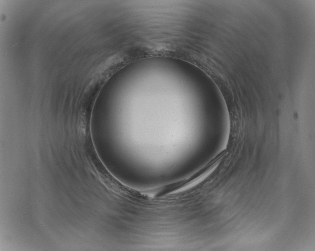 X0000073740710200608031404