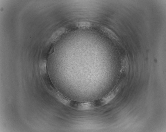 X0000073740717200608031404