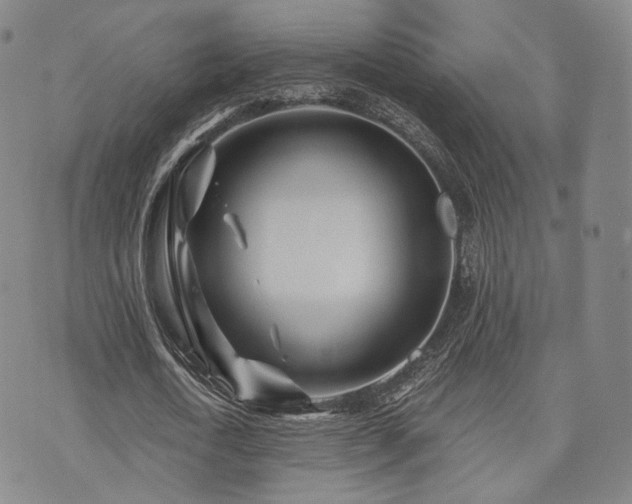 X0000073740722200608031403