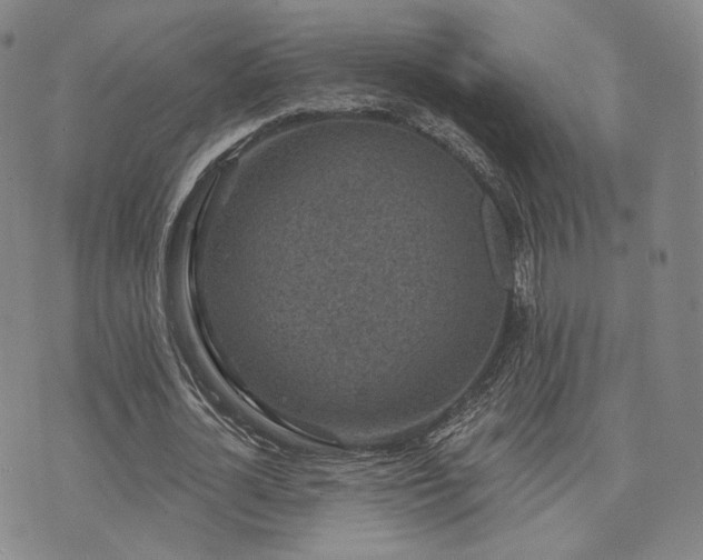X0000073740724200608031403