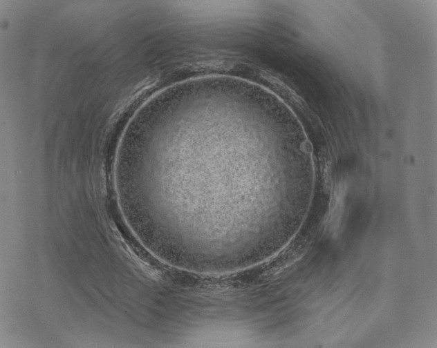 X0000073740729200608031403
