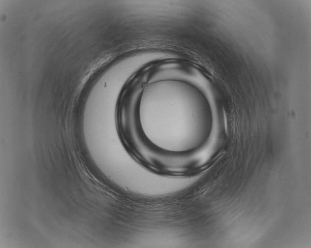 X0000073740731200608031403
