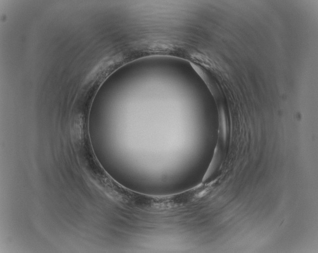 X0000073740744200608031404