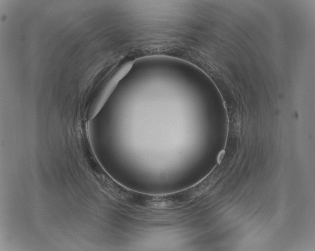 X0000073740746200608031404