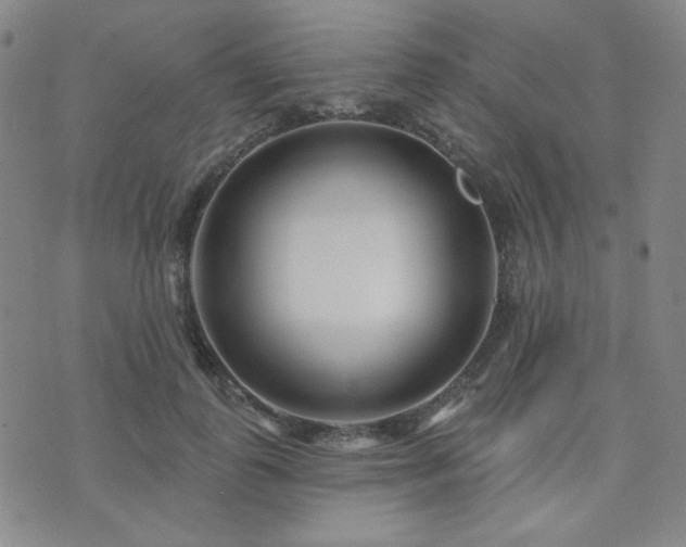X0000073740747200608031404