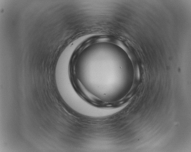 X0000073740760200608031404
