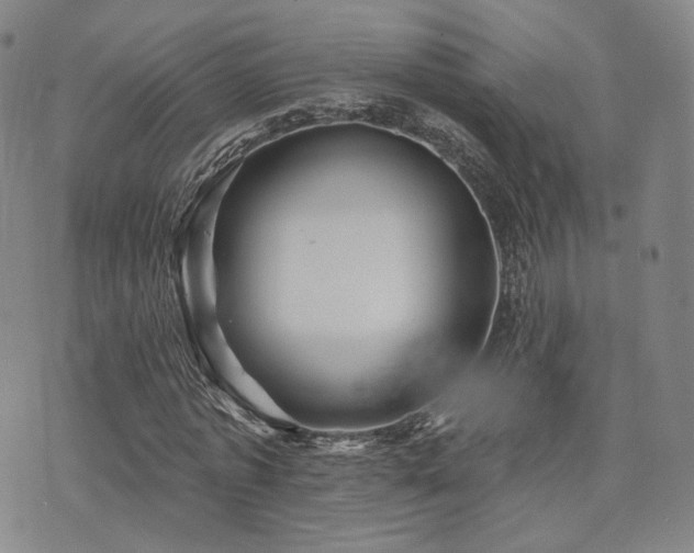 X0000073740773200608031403