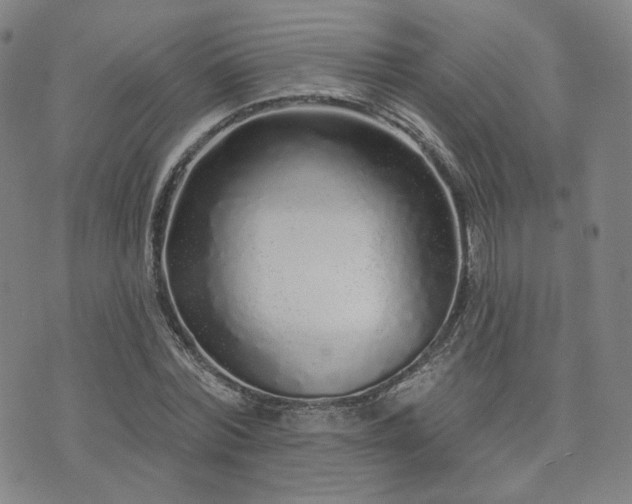 X0000073740780200608031403