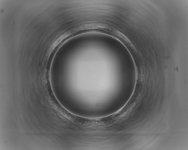 X0000073740786200608031403
