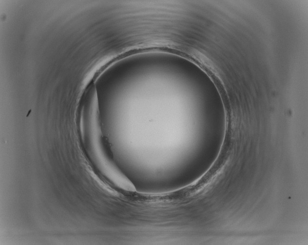 X0000073740789200608031403
