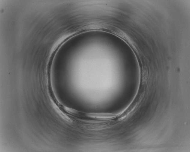 X0000073740795200608031403