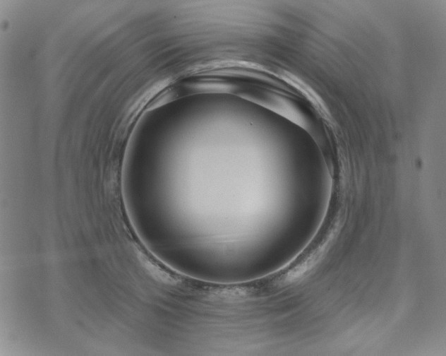 X0000073740801200608031403