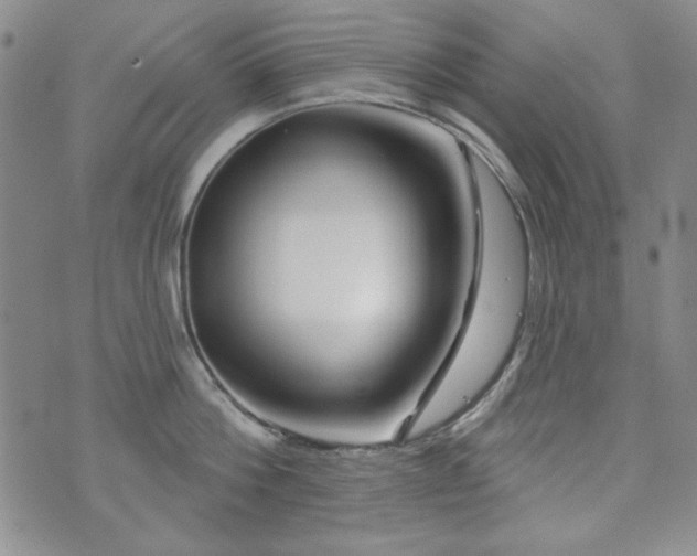 X0000073740812200608031402