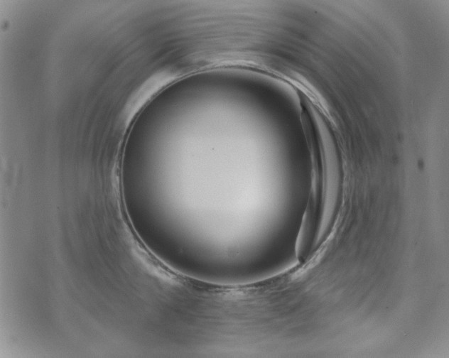 X0000073740814200608031402