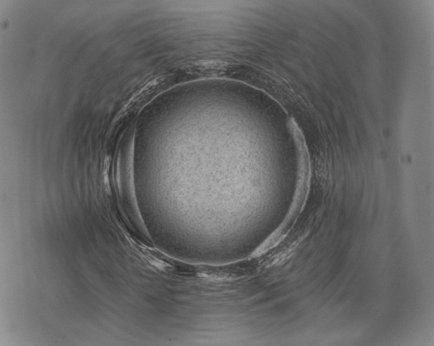 X0000073740818200608031402
