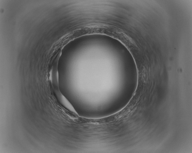 X0000073740821200608031402