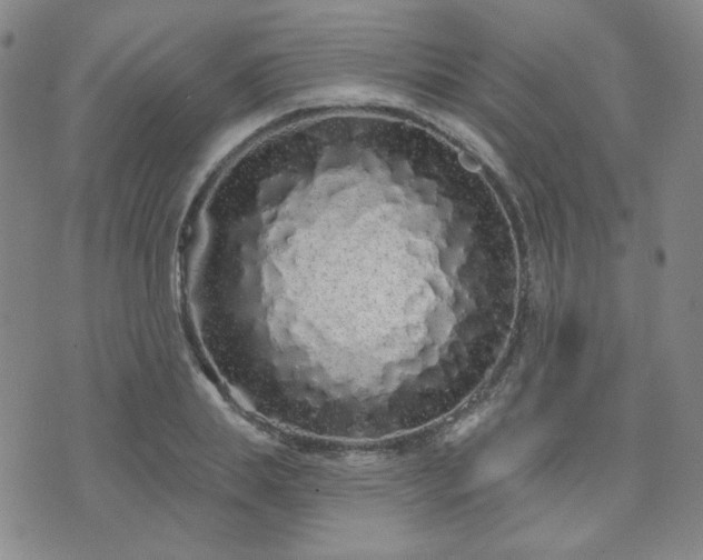 X0000073740839200608031402