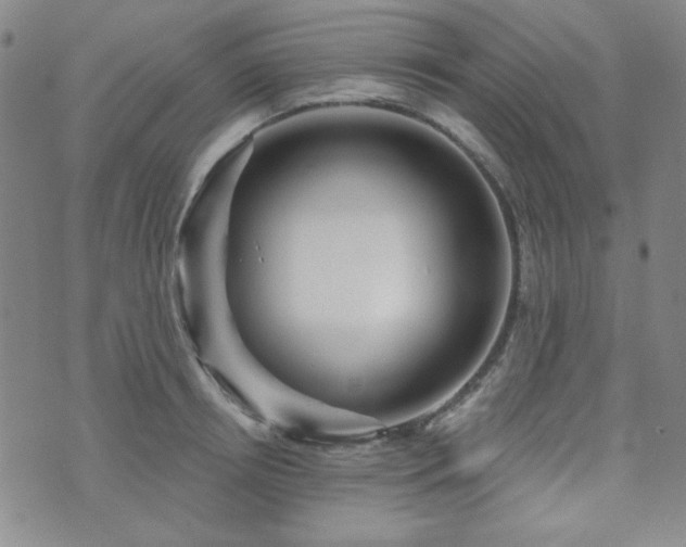 X0000073740850200608031402
