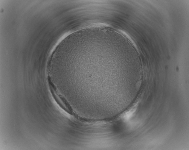 X0000073740851200608031402