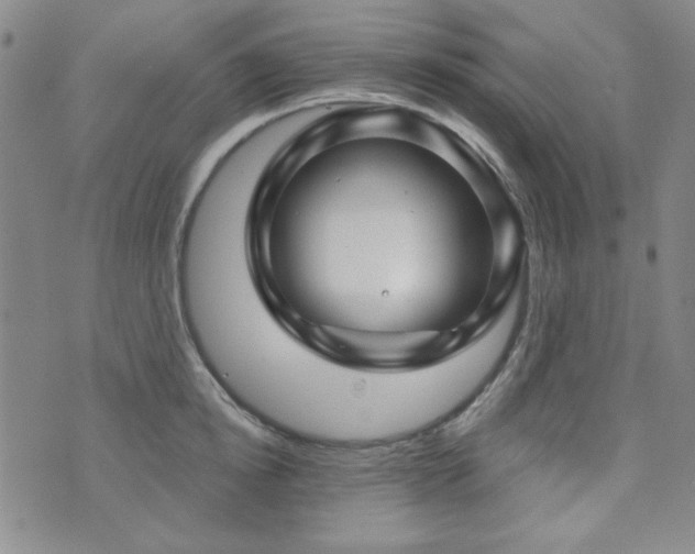 X0000073740854200608031402