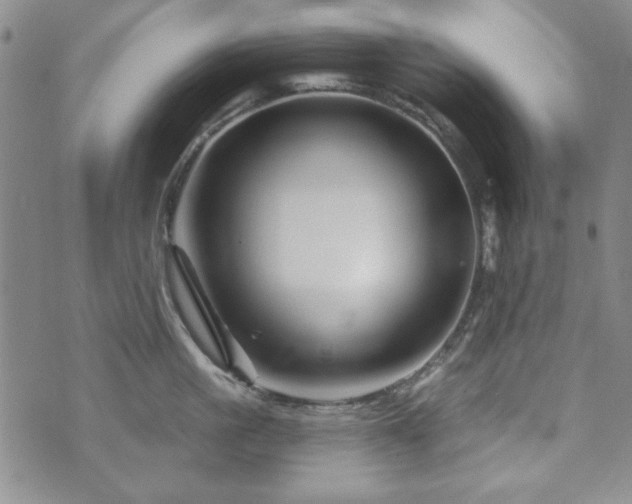 X0000073740861200608031402