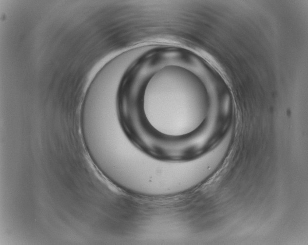 X0000073740862200608031402