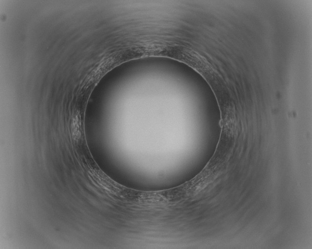 X0000073740866200608031401