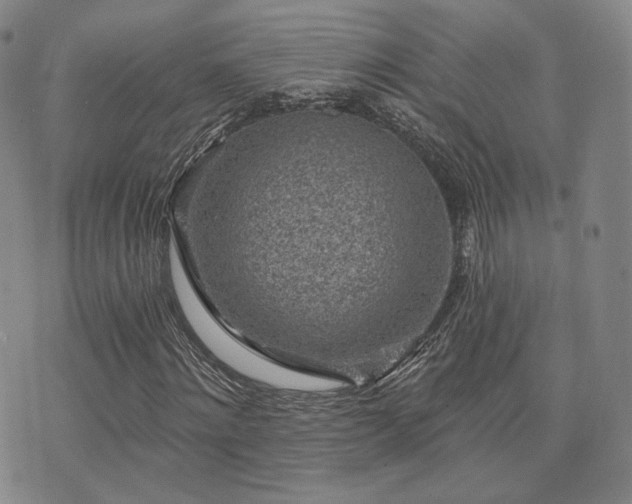 X0000073740868200608031401