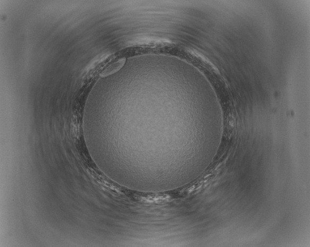 X0000073740869200608031401