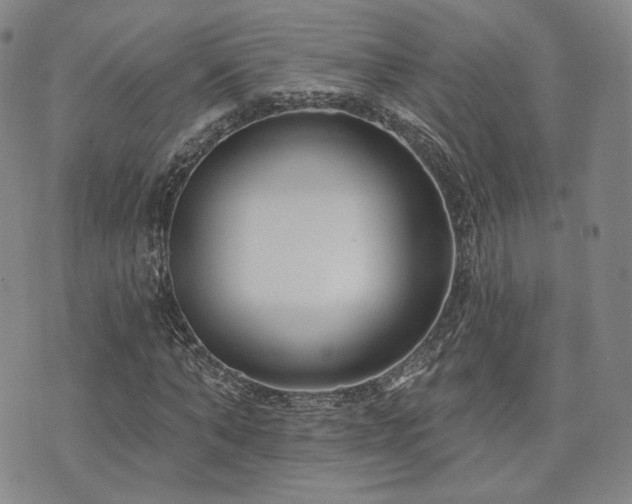 X0000073740870200608031401