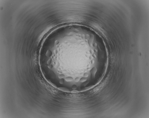X0000073740875200608031401