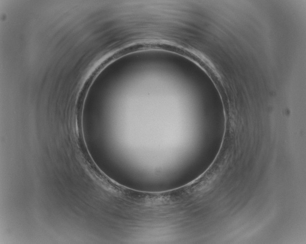 X0000073740887200608031401
