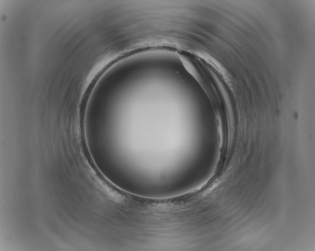 X0000073740894200608031401