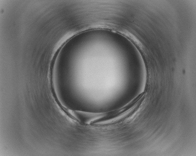 X0000073740902200608031401