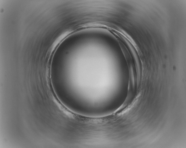 X0000073740909200608031401
