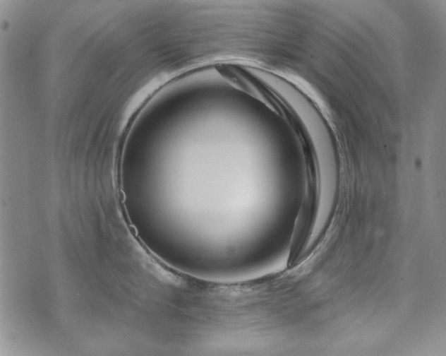 X0000073740910200608031401