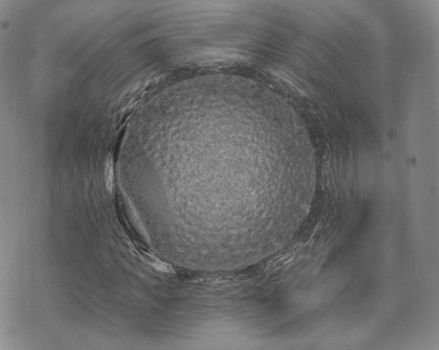 X0000073740917200608031400