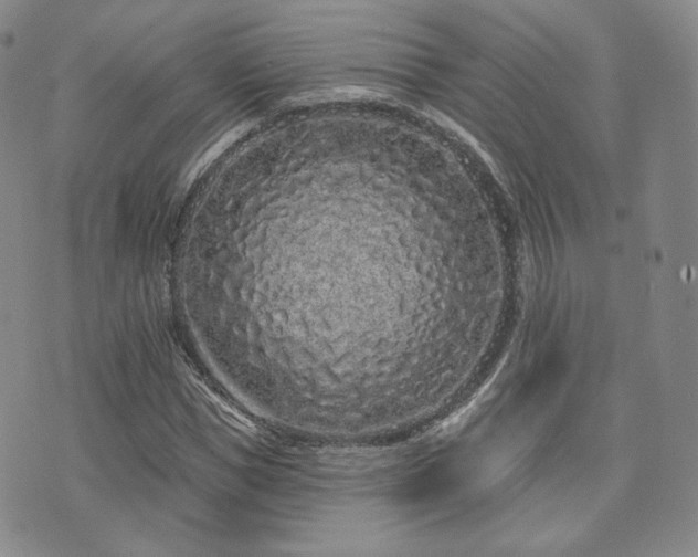 X0000073740921200608031400