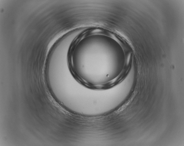 X0000073740928200608031400
