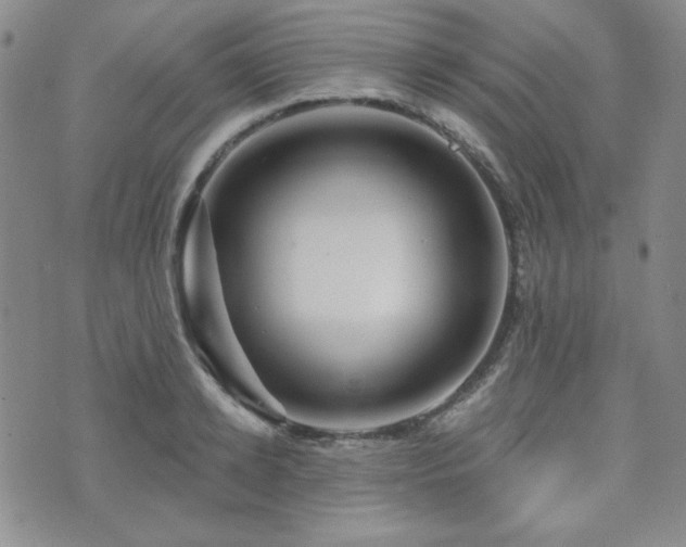 X0000073740942200608031400