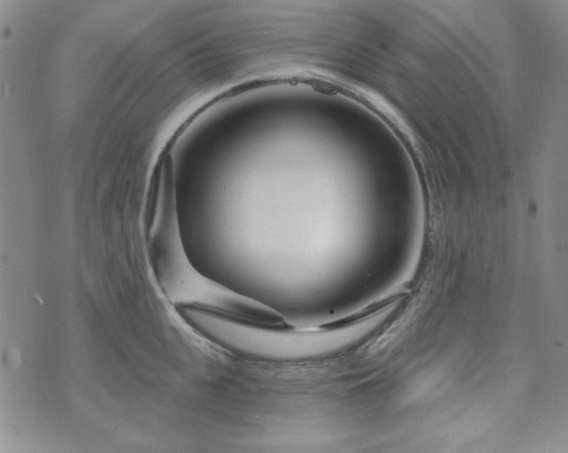 X0000073740951200608031401
